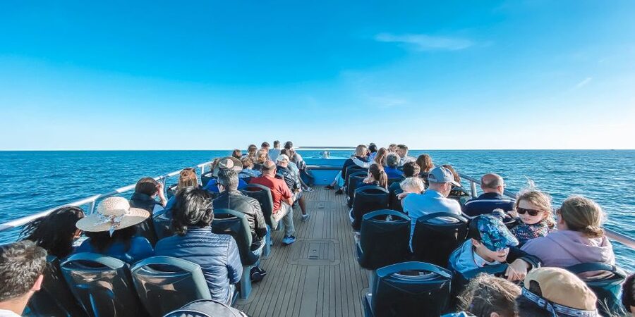 Portimão: Benagil Caves & Dolphins Watching with Biologist - Leaving Portimão Marina for the Algarve Cliffs