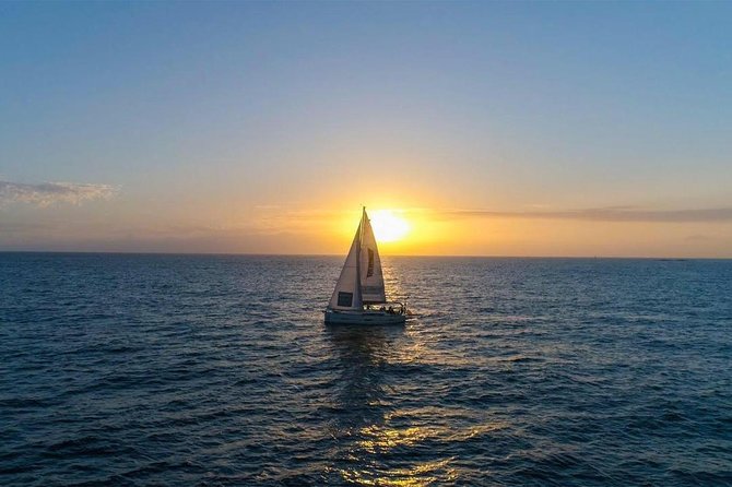Premium All Inclusive Whale & Dolphin Watching Experience - A small boat with room to look around
