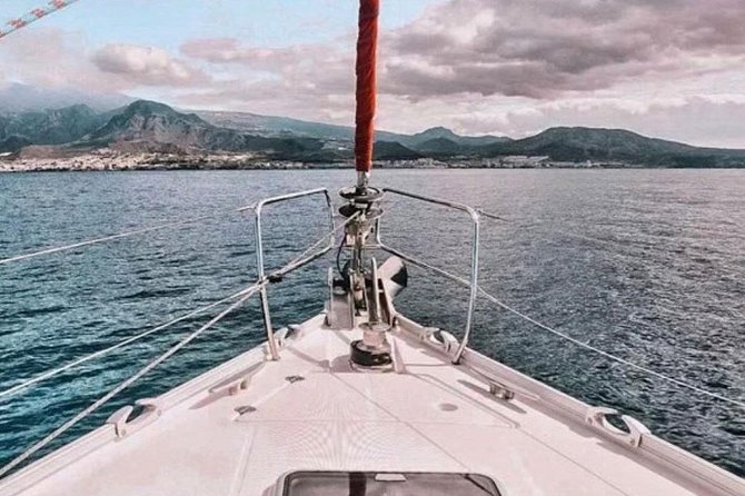 Premium All Inclusive Whale & Dolphin Watching Experience - Snacks, drinks, and the meaning of premium