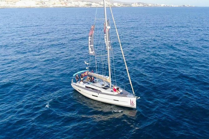 Premium All Inclusive Whale & Dolphin Watching Experience - Looking for whales and dolphins