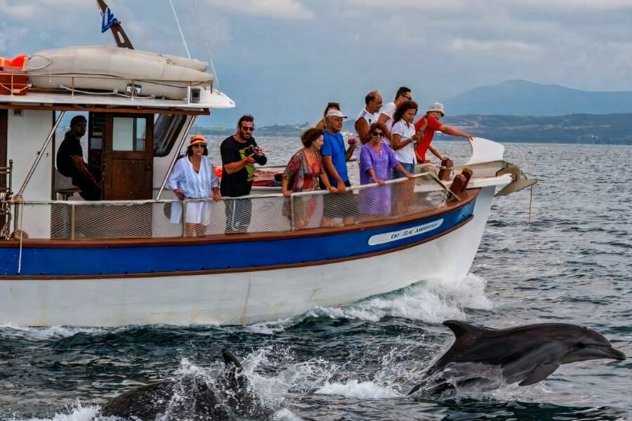 Preveza: Dolphin Watching Cruise with Lunch and Drinks - Watching Dolphins in the Wild