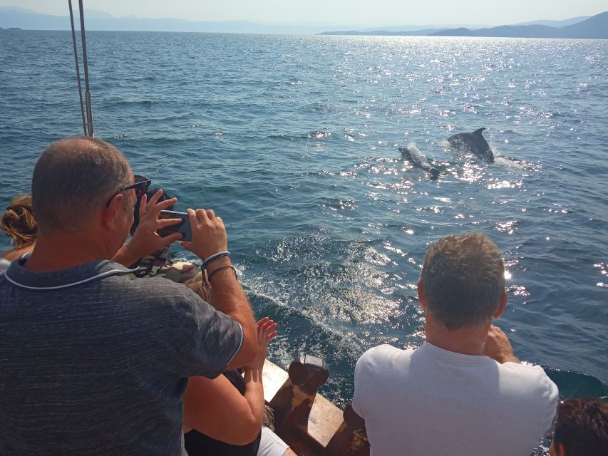 Preveza: Dolphin Watching Cruise with Lunch and Drinks - Who Will Enjoy This Most