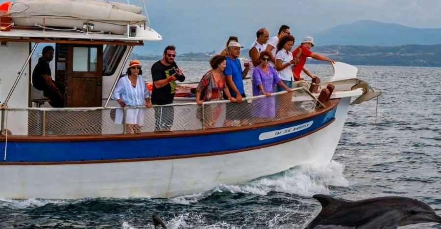 Preveza: Dolphin Watching Cruise with Lunch and Drinks - Small Details That Improve the Day