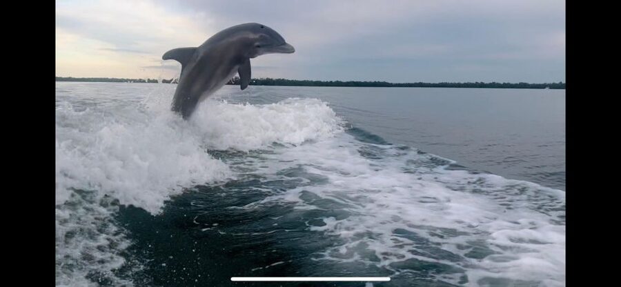 Private 2 Hour Dolphin & Eco Tour Marco Island, FL - Who will enjoy this tour most
