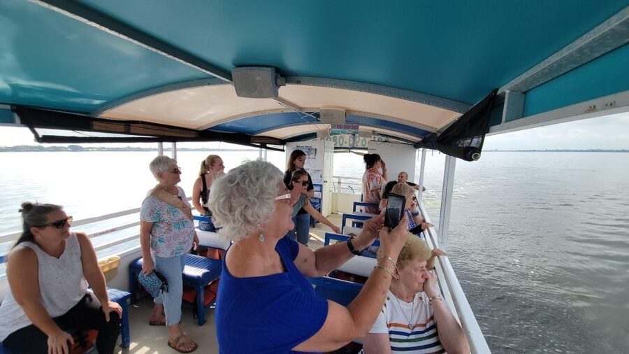Private 2 hour Dolphin Sightseeing tour- Melbourne - The intracoastal waterway and Annie the Dragon