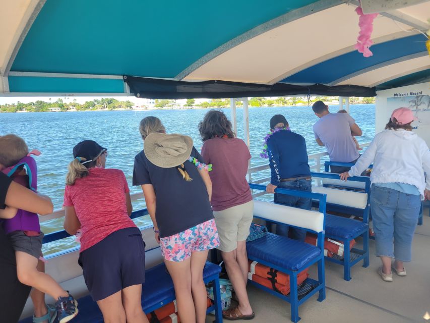 Private 2 hour Dolphin Sightseeing tour- Melbourne - A useful choice for mixed-age families