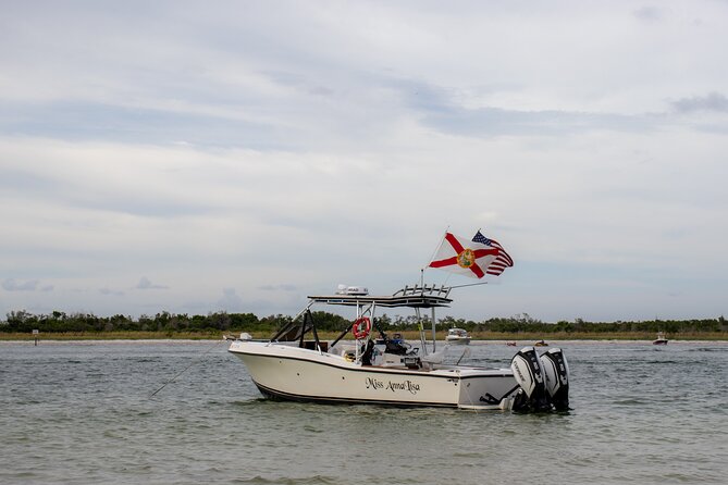 Private 2-Hour Dolphin Watching Cruise in St. Petersburg, FL - Meeting at O’Neill’s Marina