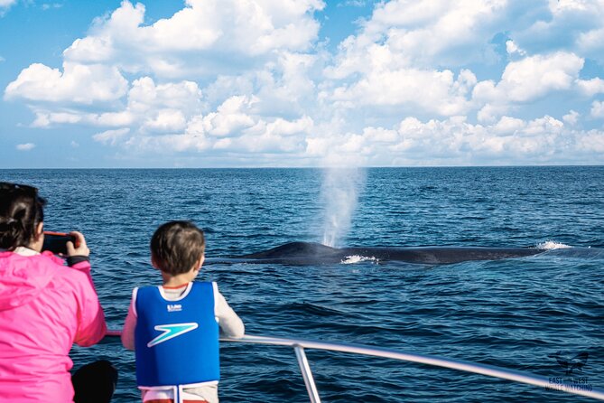 Private 2hr Supreme Whale/Dolphin Watching Tour, Newport Beach CA - Returning through Newport Harbor