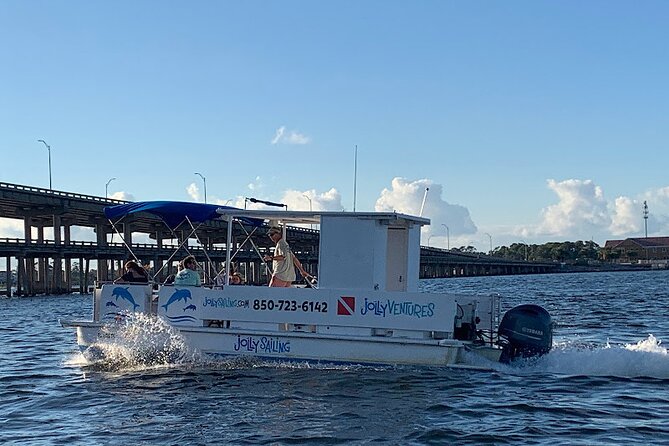 Private 3 Hour Powerboat Dolphin Cruise with Remote Beach Stop up to 6 guests - Captain Paul and the value of local narration