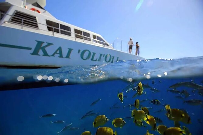 Private and Luxurious Sunset Cruise with Whale & Dolphin Watch - Key points to know before booking
