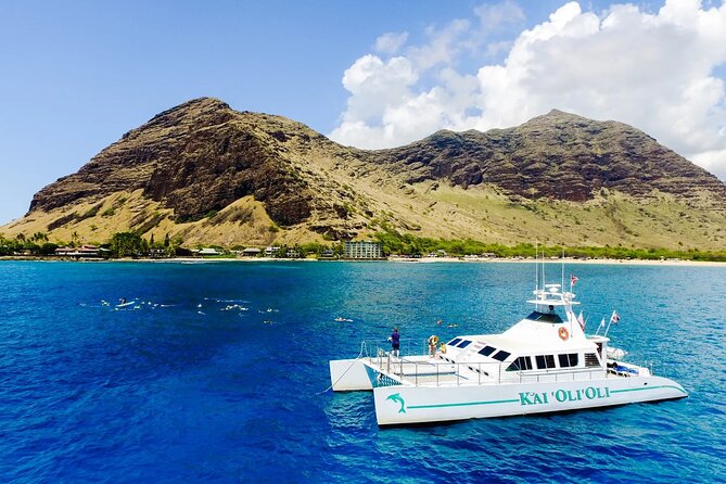 Private and Luxurious Sunset Cruise with Whale & Dolphin Watch - Shower, hot buffet, and drinks after the water