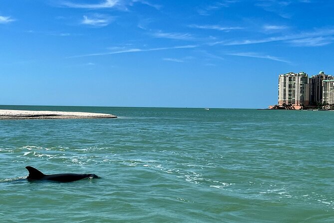 Private Best of Marco Island Dolphin Tour - Ninety Minutes in the Ten Thousand Islands