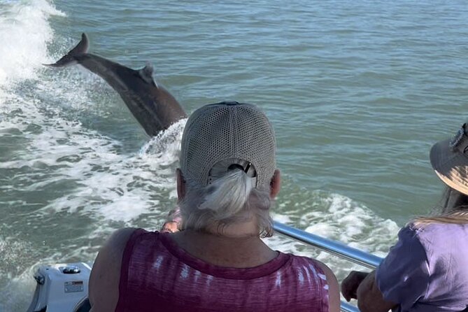 Private Best of Marco Island Dolphin Tour - What $500 Means for Your Group