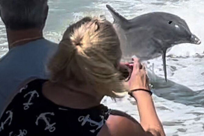 Private Best of Marco Island Dolphin Tour - Weather, Timing, and a Serious Booking Check