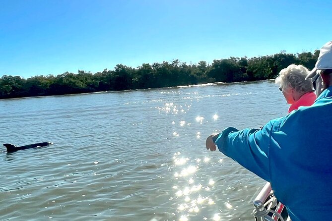 Private Best of Marco Island Dolphin Tour - The Cape Romano Option