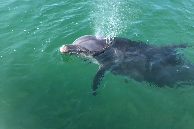 Private Boat and Dolphin Watching in Florida - Leaving Pensacola Bay for Dolphins and Open Water