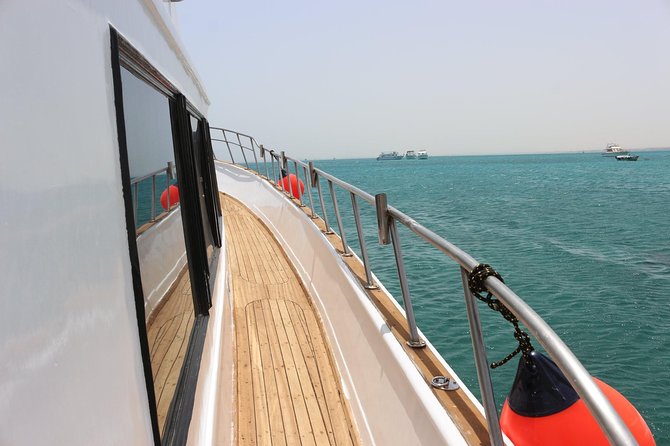 Private Boat Full Day Swimming With Dolphins Trip - Hurghada - Practical things I would bring