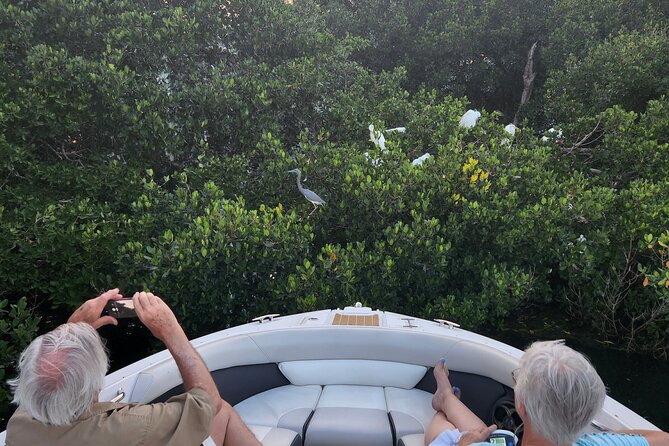 Private Boat: Island Cruise and Dolphins - Who will enjoy this cruise most