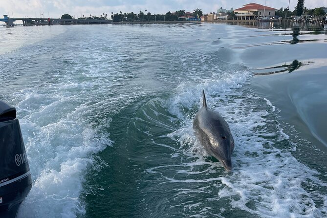 Private boat offering dolphin watching, island excursions and nature tours - A private boat that lets you set the tone