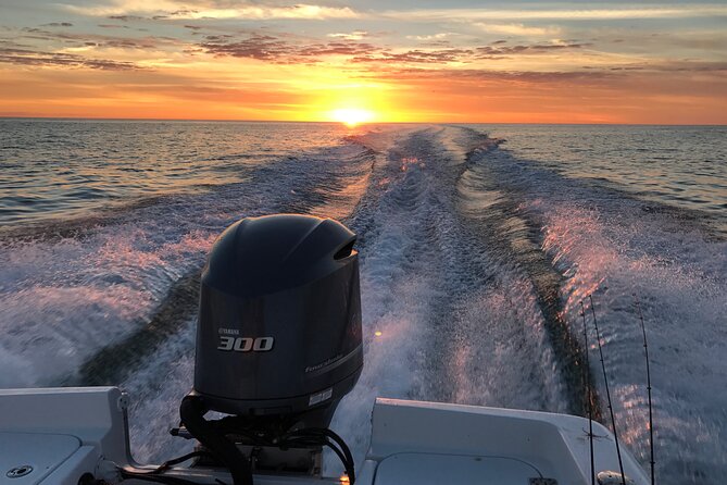 Private boat offering dolphin watching, island excursions and nature tours - Leaving St. Pete Beach for local wildlife