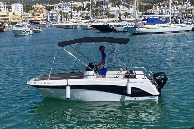 Private boat rental without title dolphin watching - Key points to know before you book