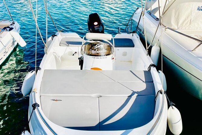 Private boat rental without title dolphin watching - A small boat requires a little planning