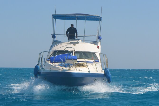 Private Boat to Dolphin House Full day Snorkeling Sea Trip Max 10 Pax - Hurghada - What the strongest feedback tells you