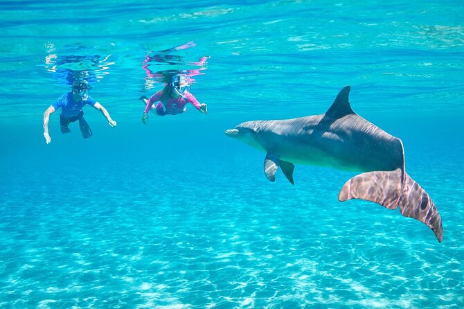 Private Boat to Dolphin House Full day Snorkeling Sea Trip Max 10 Pax - Hurghada - Who should book this boat trip?