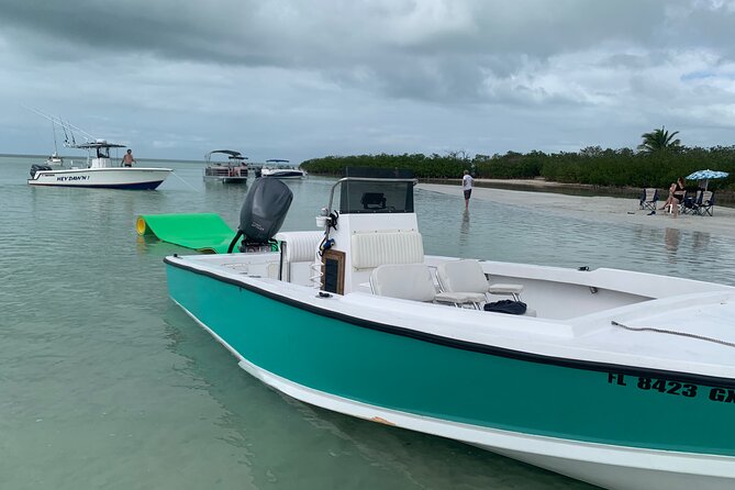 Private Boat Tour to Sand Bar Snorkel Dolphins and Sunset - Dolphins, wildlife, and the value of an unplanned moment
