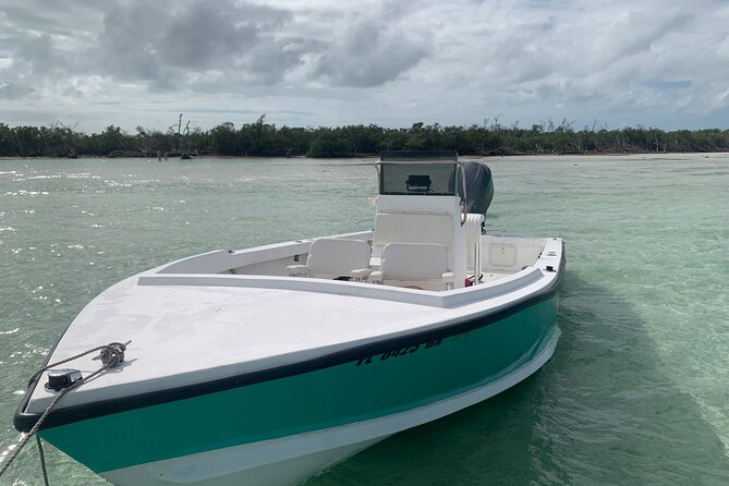Private Boat Tour to Sand Bar Snorkel Dolphins and Sunset - Timing, booking, and weather details to know