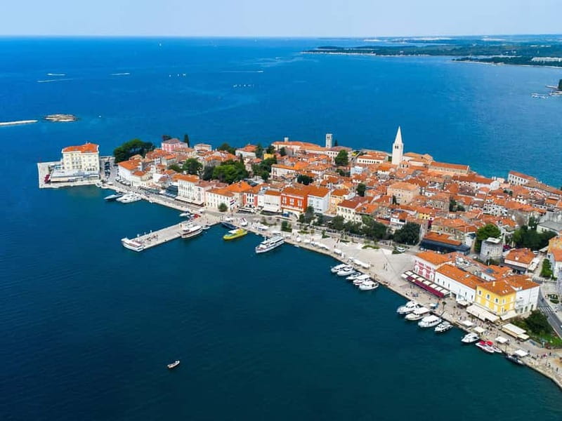 Private boat trips in Porec: dolphin watching, panoramic views - Why the 5 a.m. Trip Is Different