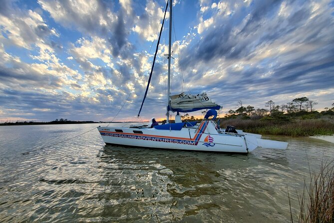 Private Catamaran Sunset Cruise with Dolphin watching - Why this two-hour bay cruise works so well