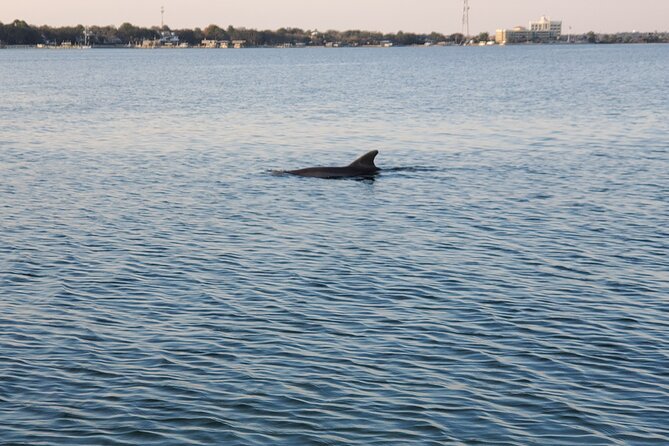 Private Catamaran Sunset Cruise with Dolphin watching - Practical planning for your evening