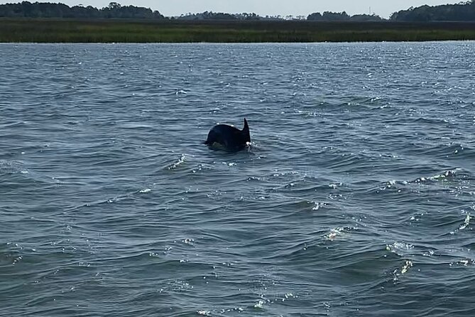 Private Charleston Dolphin and Eco Boat Tour - A calm boat ride with a personal captain