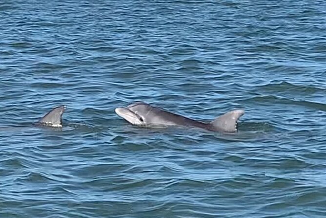 Private Charleston Sunset & Dolphin Cruise - What Captain PD adds to the experience