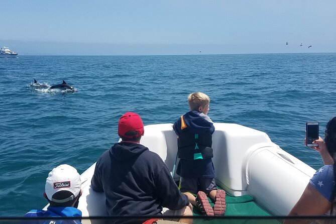 Private Dolphin and Whale Watching Tour in Newport Beach - Key points to know before booking