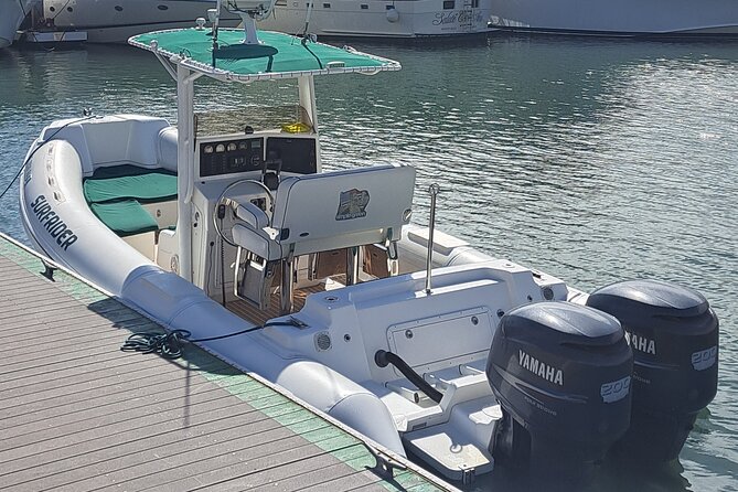 Private Dolphin and Whale Watching Tour in Newport Beach - What you might see in the water