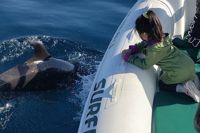 Private Dolphin and Whale Watching Tour in Newport Beach - Booking timing and cancellation details