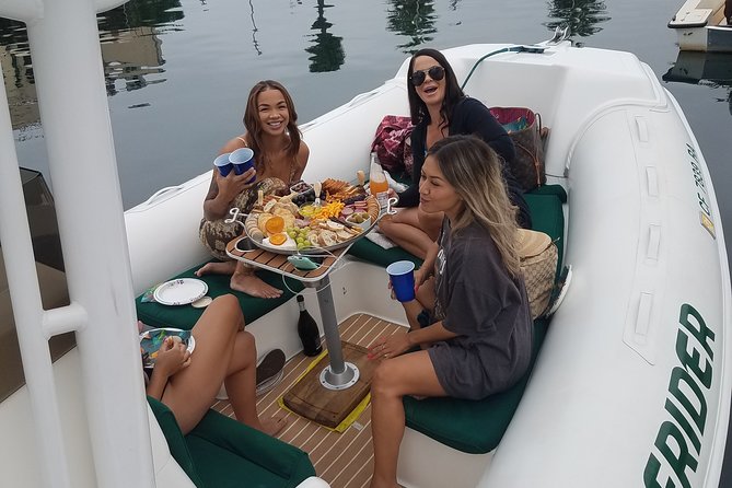 Private Dolphin and Whale Watching Tour in Newport Beach - From Newport to Laguna Beach and Dana Point