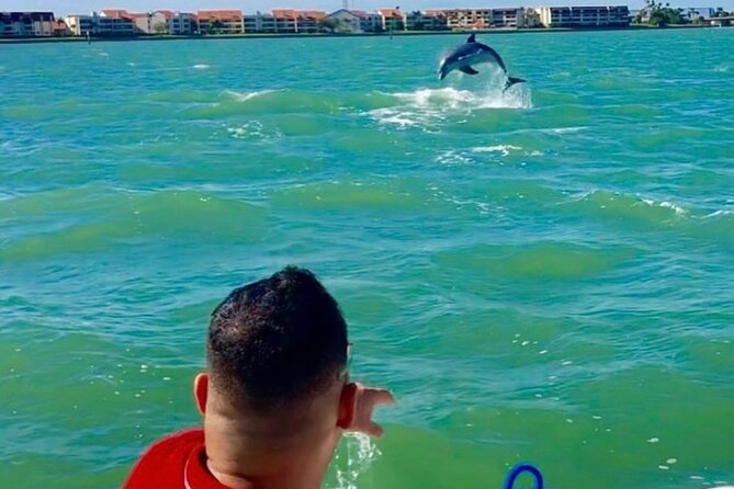 Private Dolphin & Architecture Tour in St. Petersburg, Fl - What the $350 price includes
