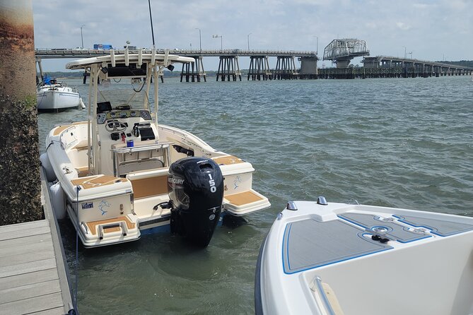 Private Dolphin Boat Tour in Hilton Head Island - The value of a $400 private outing