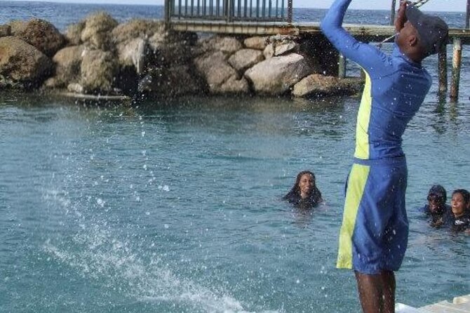 Private Dolphin Cove Adventure - Safety, Comfort, and Help During the Session