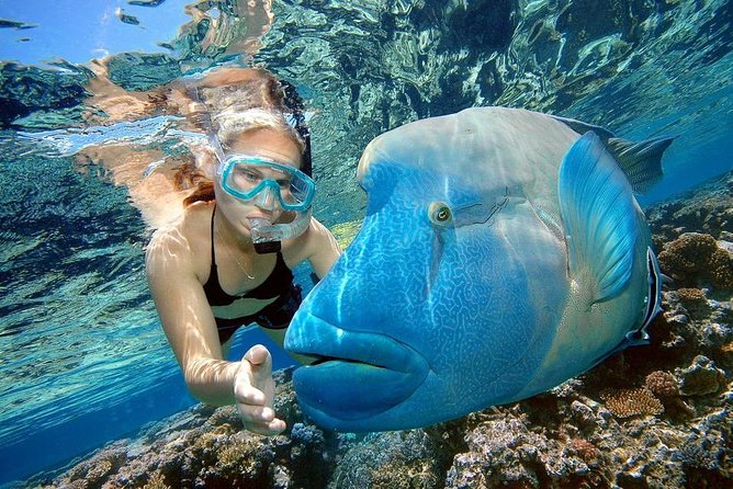 Private Dolphin House Boat Tour with Snorkeling & Lunch– Hurghada - What the $110 price means for a private group