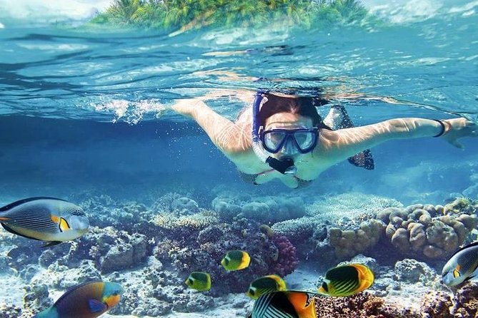 Private Dolphin House Boat Tour with Snorkeling & Lunch– Hurghada - The main limitation: expectations about stops and pickup