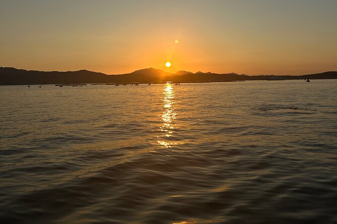 Private Dolphin Sighting Tour with Aperitif - Who will enjoy this Sardinian outing most