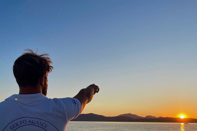 Private Dolphin Sighting Tour with Aperitif - Searching for dolphins in open water
