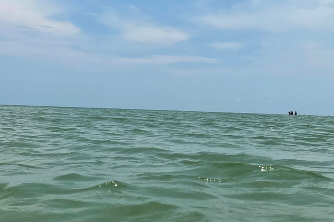 Private Dolphin & Sightseeing Boat Day Tour - Who should book this Cape Coral boat tour?