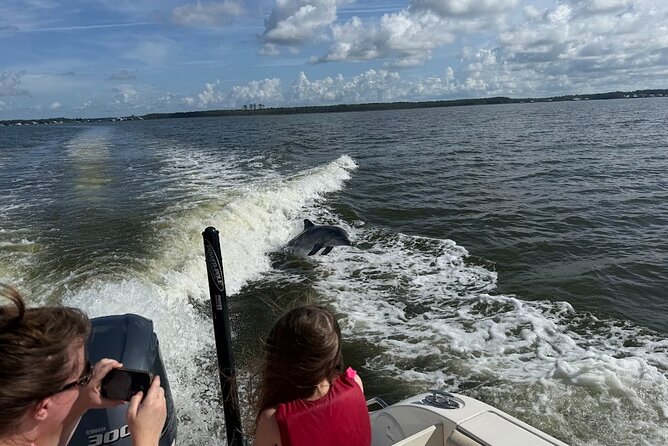 Private Dolphin Sightseeing Excursion - Timing, weather, and comfort