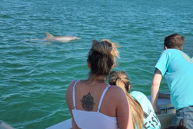 Private Dolphin Sightseeing Excursion - Who will enjoy this boat ride most