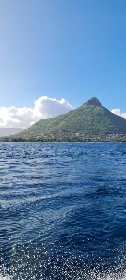 Private Dolphin Snorkeling Tour. Equipment available Free. - Who will enjoy this dolphin trip most?